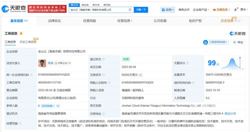 金山云旗下海南洋浦信息科技增資至6億美元，強化信息系統集成服務布局